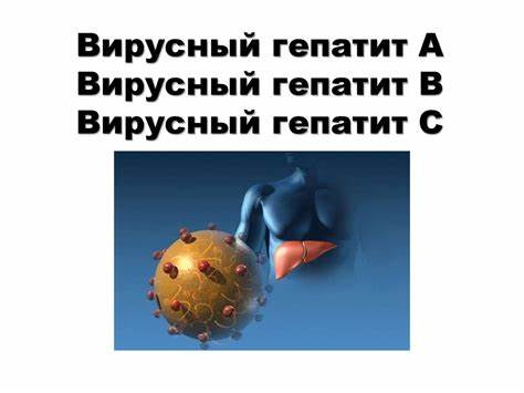 Вирусный гепатит а диета 5 Вирусный гепатит А. Вирусный гепатит В. Вирусный гепатит С Вирусный гепатит А. Вирусный гепатит В. Вирусный гепатит С Вирусный гепатит а диета 5