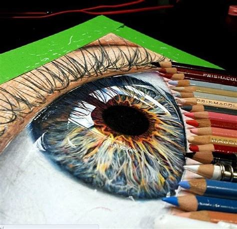 40 Color Pencil Drawings To Having You Cooing With Joy Bored Art
