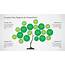 Creative Tree Diagrams For PowerPoint  SlideModel