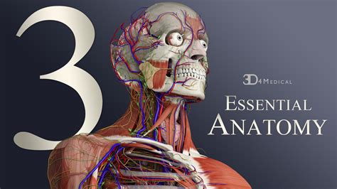 Essential Anatomy 3 구매 Microsoft Store Ko Kr