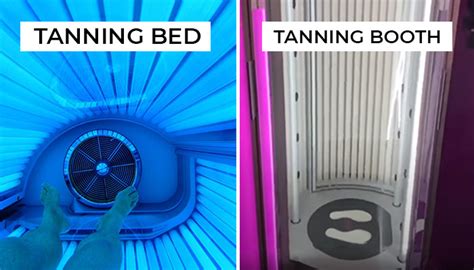 8 Top Gyms With Tanning Near You Cost Hours How To Use 2023