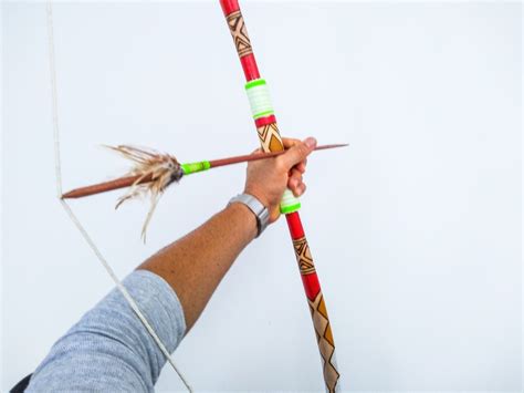 Arco E Flecha Indigena