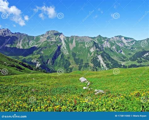 Alpine Pastures And Meadows In The Saminatal And Naaftal Alpine Valleys