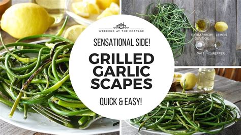 Grilled Garlic Scapes Quick And Easy Youtube