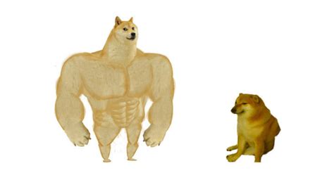 Meme Of The Day Swole Doge Vs Cheems Rknowyourmeme