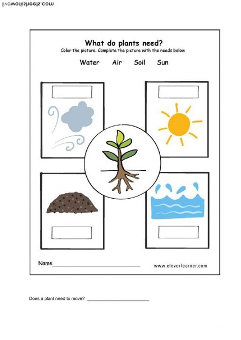 Plants Interactive Worksheet Plants Worksheets Science Worksheets