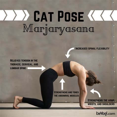 Strengthen Your Core And Relieve Tension With This Cat Pose Ashtanga Yoga Yoga Postures Yoga
