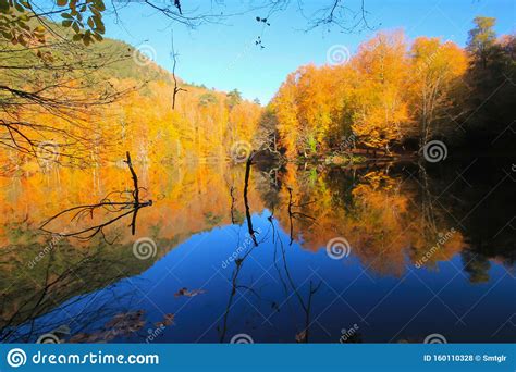 Autumn Landscape In Seven Lakes Yedigoller Park Bolu Turkey Stock