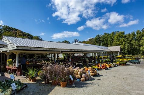 Market fresh flowers wayne pa. Services - O & F Farm & Garden