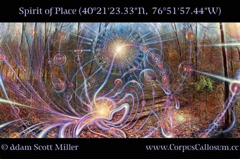 The Visionary Art Of Adam Scott Miller Fractal Enlightenment