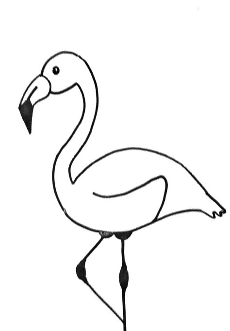 How To Draw A Flamingo Step By Step At Drawing Tutorials