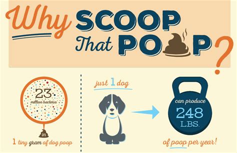 Project Highlight Scoop That Poop Pet Waste Education Campaign