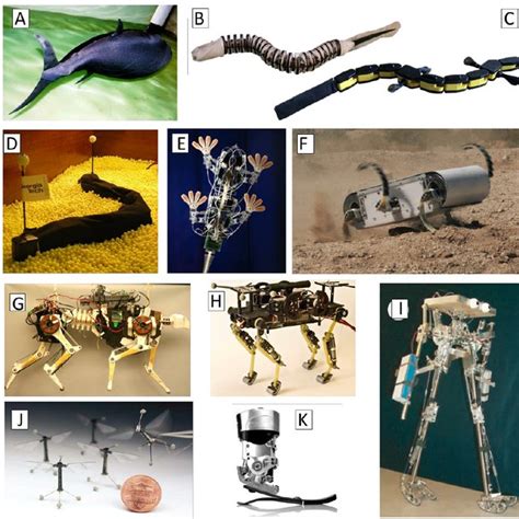 A Biomimetic Robot That Emulates The Hovering Performance Of The Glass