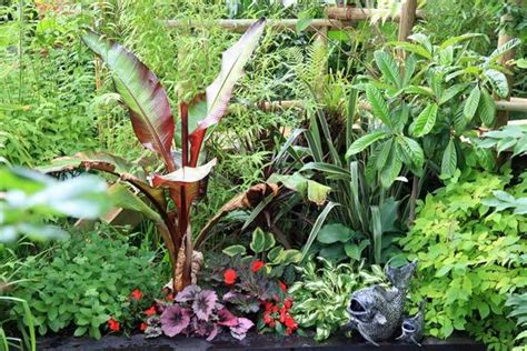 Hardy Exotic Plants To Grow In The Uk Nick Wilsons Garden