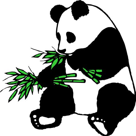 Panda Panda Eating Bamboo Clipart Png Download Full Size