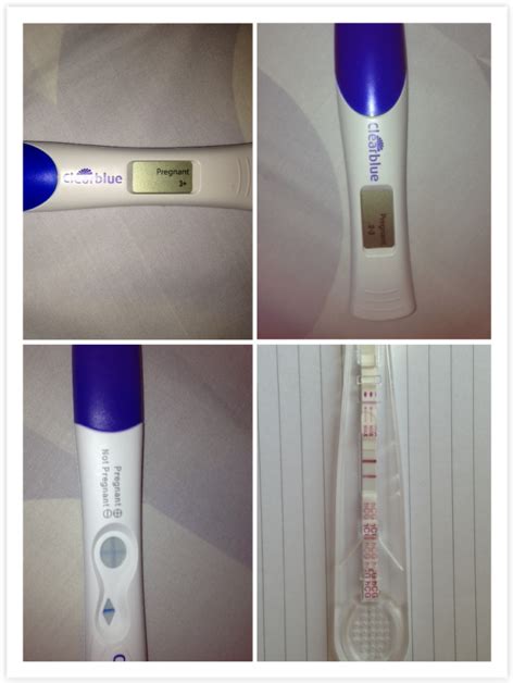 Download All Pregnancy Tests Showed 2 Lines And The Digital Cylinder