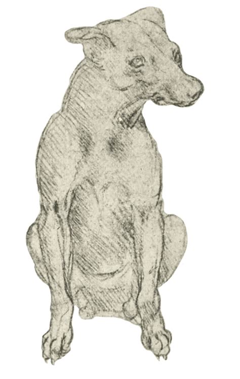 Da vinci art anatomy art sketch book renaissance art anatomy skeleton drawings figure drawing artist anatomy drawing. Animals — Discovering da Vinci: