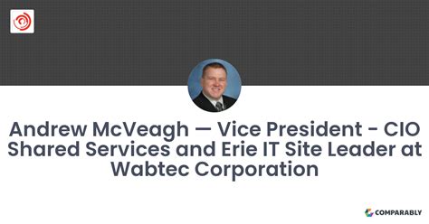Andrew Mcveagh — Vice President Cio Shared Services And Erie It Site