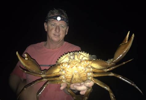 Jamie Miller Has Caught Crabs In Lake Macquarie For 20 Years But He
