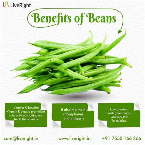 health benefits of beans health benefits of beans fresh green beans health
