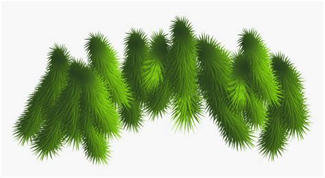Transparent Pine Branches Png Clipart Christmas Tree Branches Png