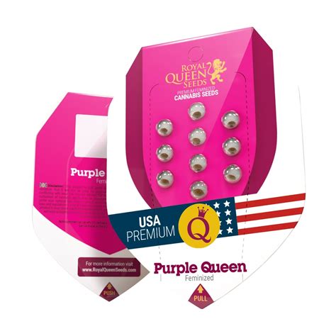 Purple Queen Royal Queen Seeds Graines Féminisées Mon Graine
