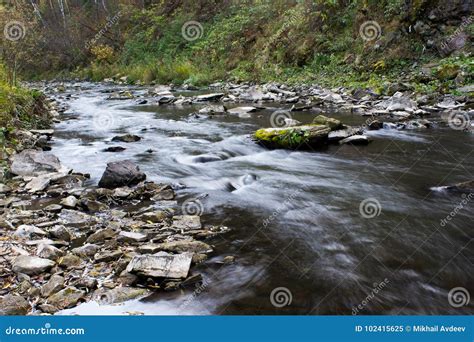 River In The Forest Stock Image Image Of Landscape 102415625