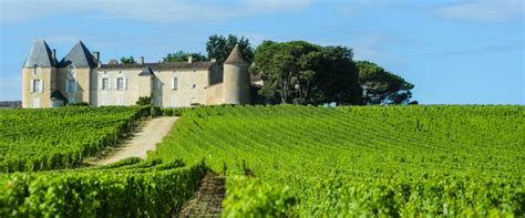 How To Plan The Best Ever Visit To French Vineyards In A Motorhome