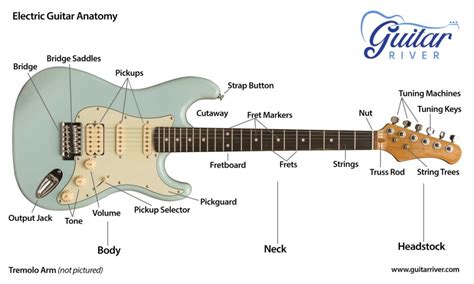 Electric Guitar Anatomy The Parts Of The Electric Guitar Guitar River