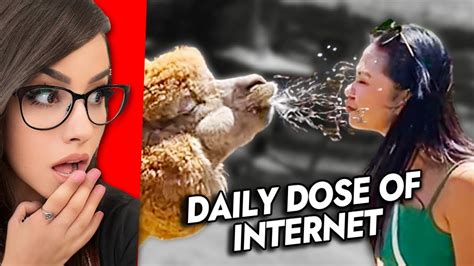 Reacting To Daily Dose Of Internet YouTube
