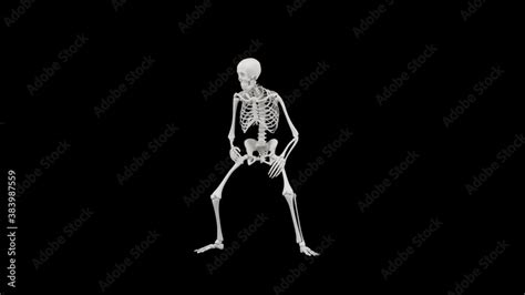 Skeleton Alert Idle Position Or Stance 4k 3d Seamless Animation Of A