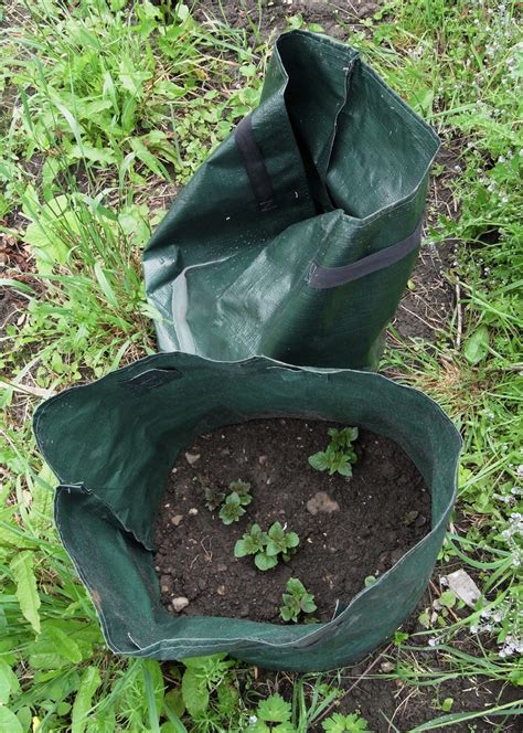 Gardening With Grow Bags What Is A Grow Bag And What Are