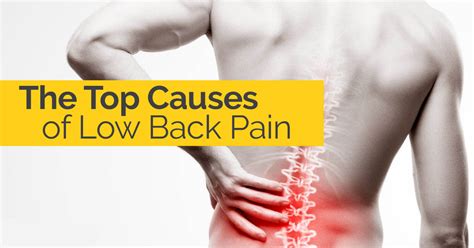 The Top Causes Of Low Back Pain Tulsa Chiropactor Schluter Chiropractic