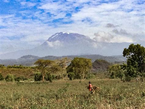 Climbing The Base Of Mount Kilimanjaro Beyond Eden