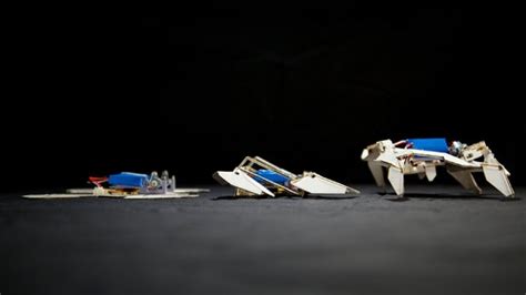 Origami Inspired Self Folding Robots