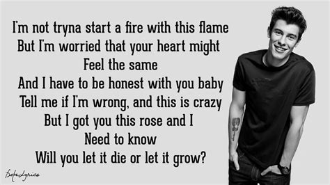 Roses Shawn Mendes Lyrics 🎵 - YouTube