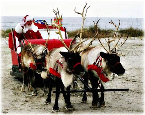 santa claus and his reindeer water north pole toy santa claus and his reindeer taking a