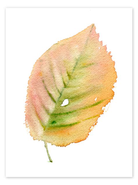 Autumn Leaf Print By Verbrugge Watercolor Posterlounge