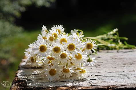 Ich habe die lange pause dazwischen nicht gespürt. Über die Geduld Foto & Bild | sonne, frühling, fröhlich ...