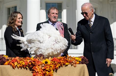 turkeys liberty and bell escape fowl fate with presidential pardon abc news