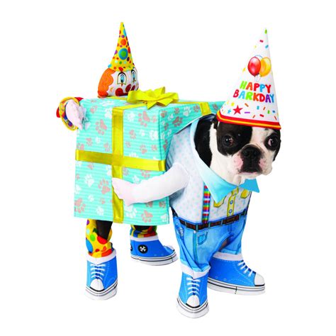 Rubies Birthday Present Carry Dog Costume Baxterboo