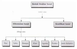 Pengertian Struktur Sosial Bentuk Ciri Fungsi Contoh Riset