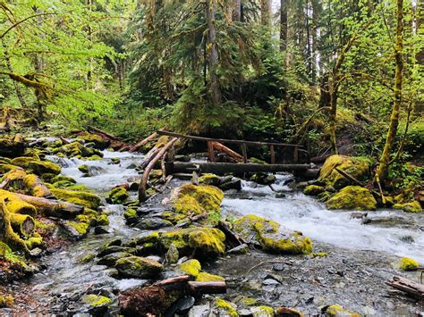 Enchanted Valley Via East Fork Quinault River — Washington Trails