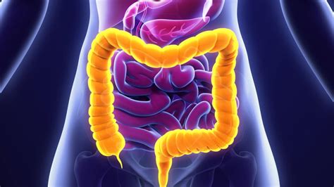 Where To Study Gastroenterology In South Africa Infolearners