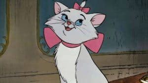 You can name your cat after a cat from a disney movie, or you can name it after a human character. Disney Cat Names - 29 Unforgettable Characters - Find Cat ...