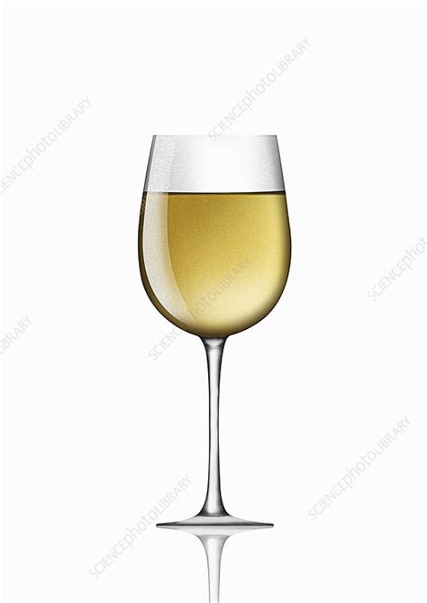 Single Glass Of White Wine Illustration Stock Image C0396156