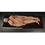 COCOON 1985  Human Body Skin Current Price $600