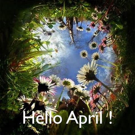 Hello April Pictures Photos And Images For Facebook Tumblr