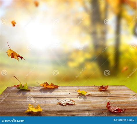 Colorful Maple Leaves On Wooden Table Stock Photo Image Of Flora