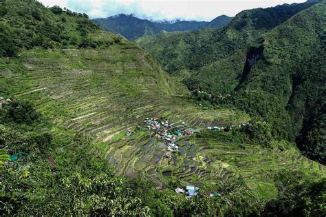 Exploring The Philippines Cordilleras Rice Terraces